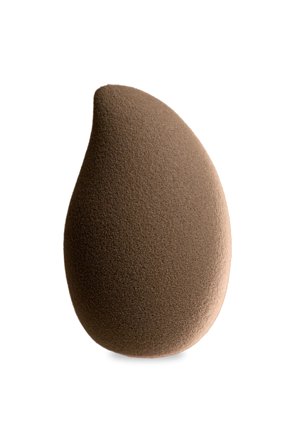 My Mango Blender - Andreia Professional - Image 2